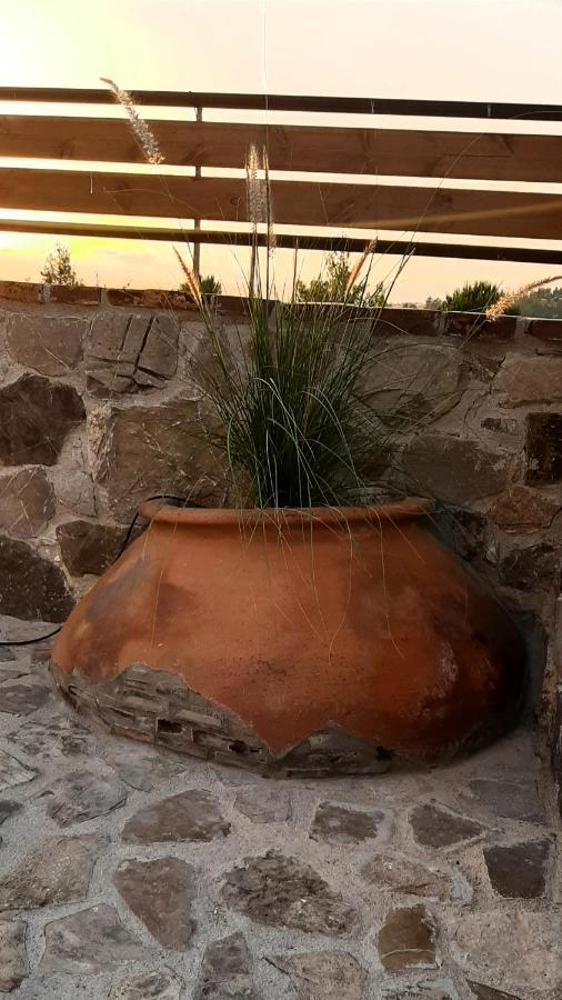 فيلا Pendaliaفي Savvas Brian Mountain House In Paphos المظهر الخارجي الصورة