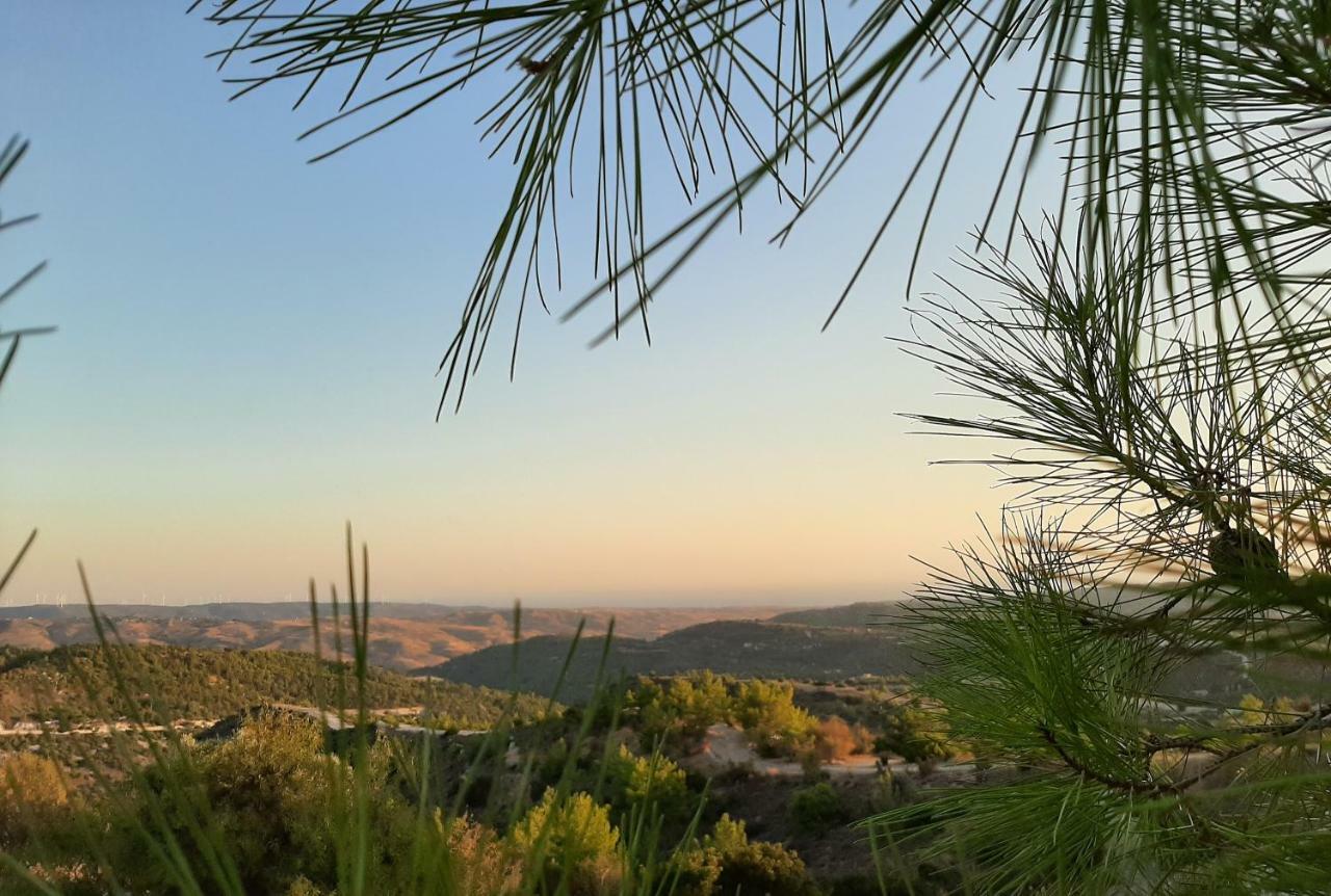 فيلا Pendaliaفي Savvas Brian Mountain House In Paphos المظهر الخارجي الصورة